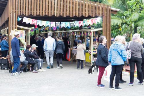 ARRAIAL-DO-ARROIO-Thayson-Machado-1