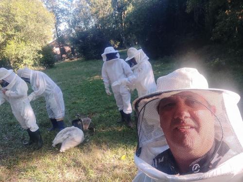 Curso-Apicultura-Divulgacao-1