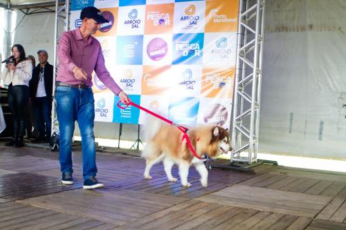 DESFILE-PETS-18