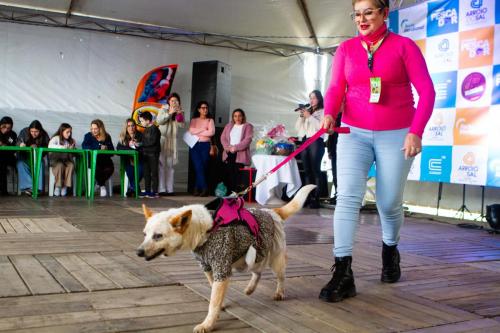 DESFILE-PETS-20