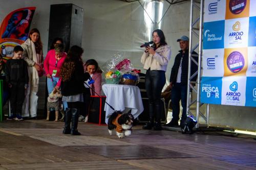 DESFILE-PETS-27