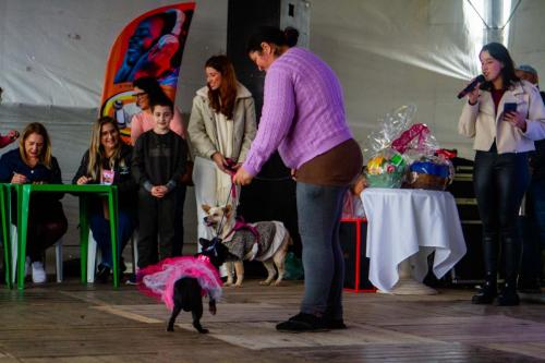 DESFILE-PETS-46