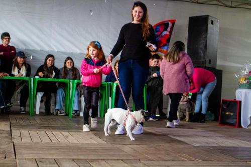 DESFILE-PETS-60
