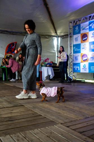 DESFILE-PETS-62