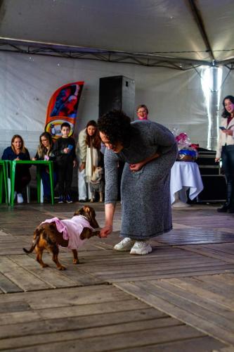 DESFILE-PETS-65