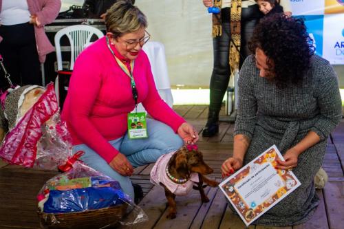 DESFILE-PETS-91
