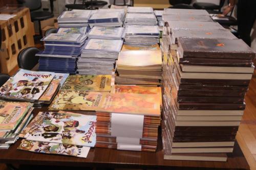Livros-Novos-Denise-Possebon-14