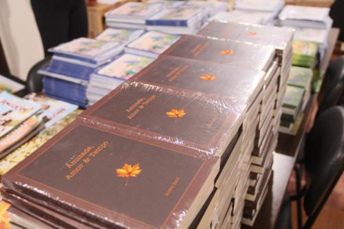 Livros-Novos-Denise-Possebon-15