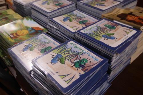 Livros-Novos-Denise-Possebon-16