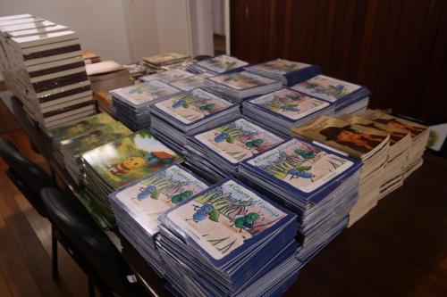 Livros-Novos-Denise-Possebon-17